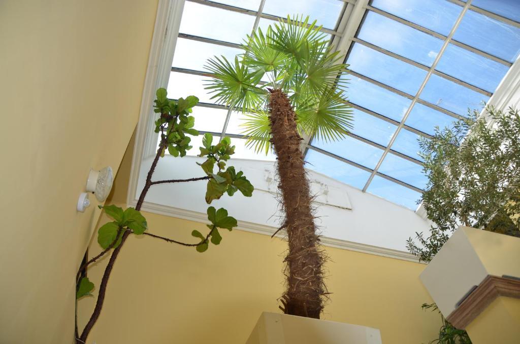 Hotel Labut Vrchlabí Εξωτερικό φωτογραφία
